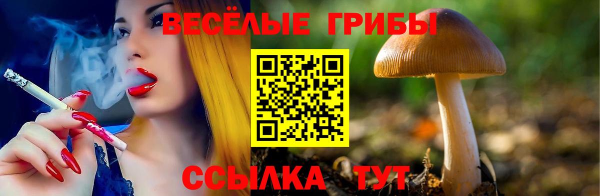Галлюциногенные грибы GOLDEN TEACHER  где купить наркоту  Орёл  Вход с VPN 