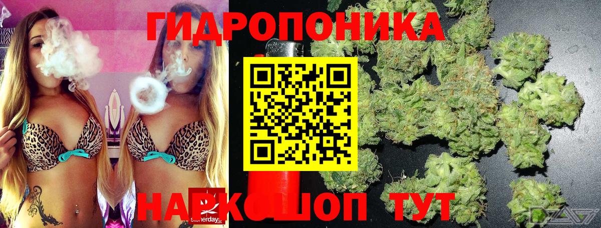 Канабис MAZAR Орёл